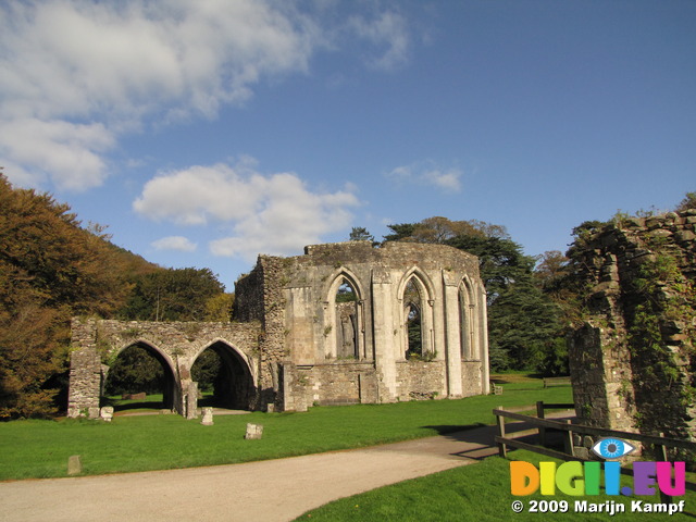 SX09838 Remaind of Margam Abbey